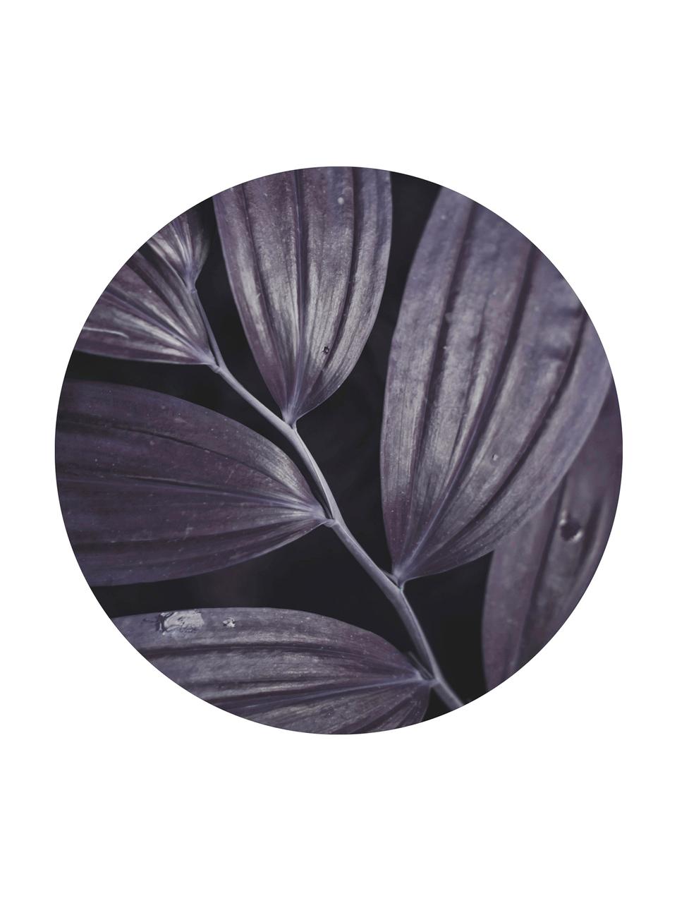 Nástenná maľba Dark Plant III, okrúhla, Čierna, fialová