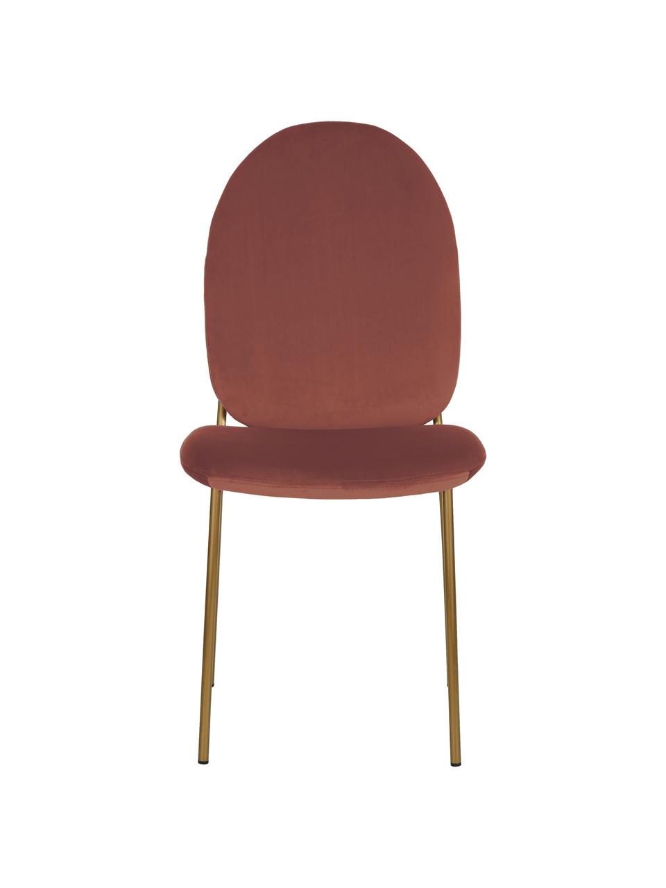 Fluwelen stoel Mary, Bekleding: fluweel (polyester), Poten: bekleed metaal, Terracotta, B 44 x D 65 cm