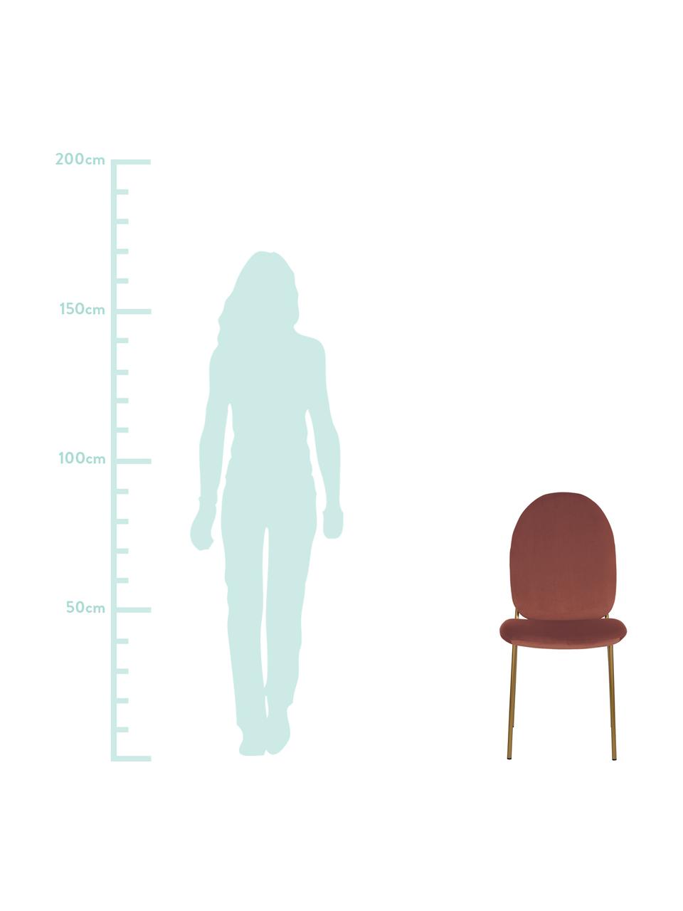 Fluwelen stoel Mary, Bekleding: fluweel (polyester), Poten: bekleed metaal, Terracotta, B 44 x D 65 cm