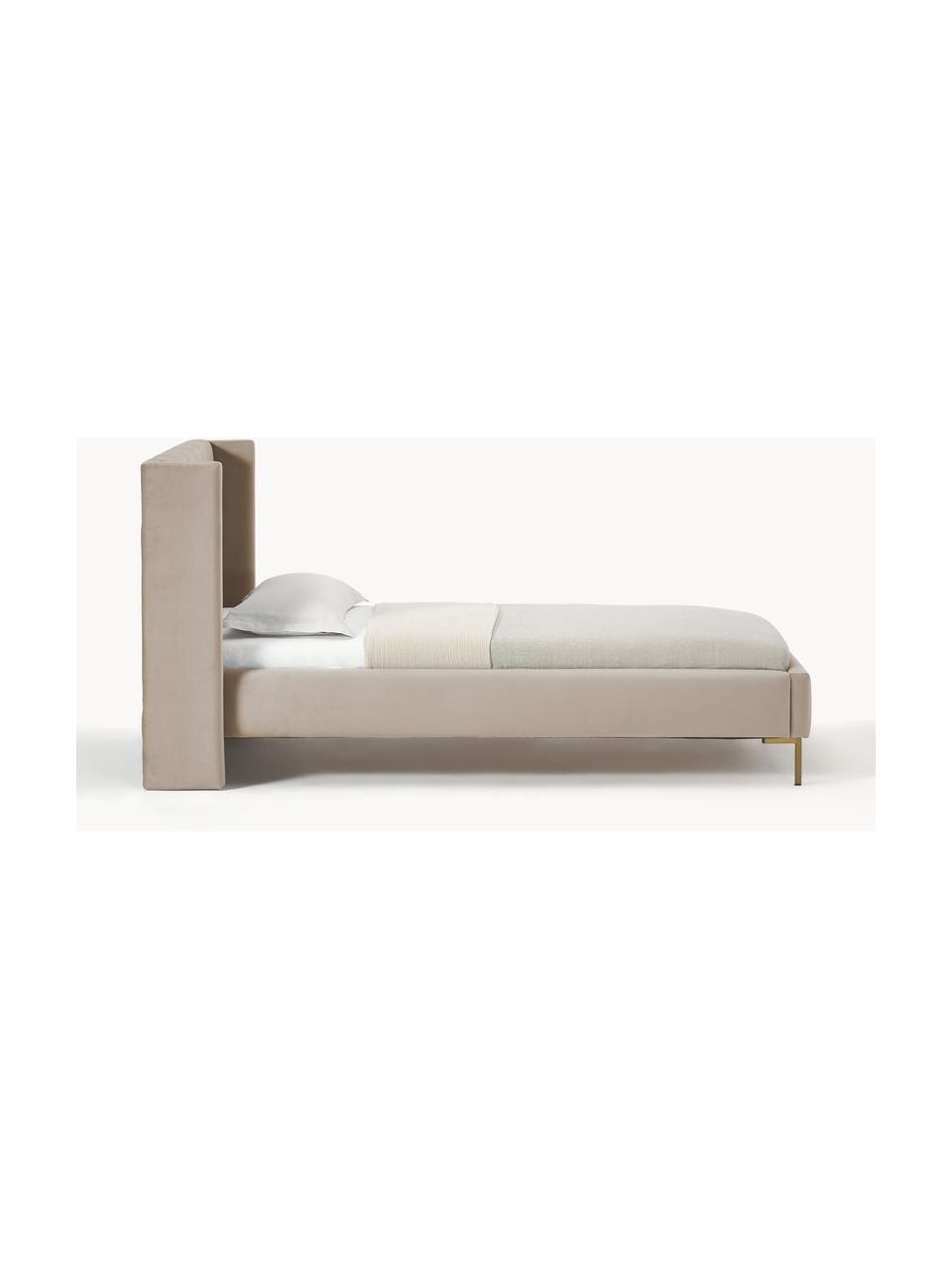 Cama individual de terciopelo Dusk, Tapizado: terciopelo de poliéster A, Estructura: madera de pino maciza con, Patas: metal con pintura en polv, Terciopelo gris pardo, An 90 x L 200 cm