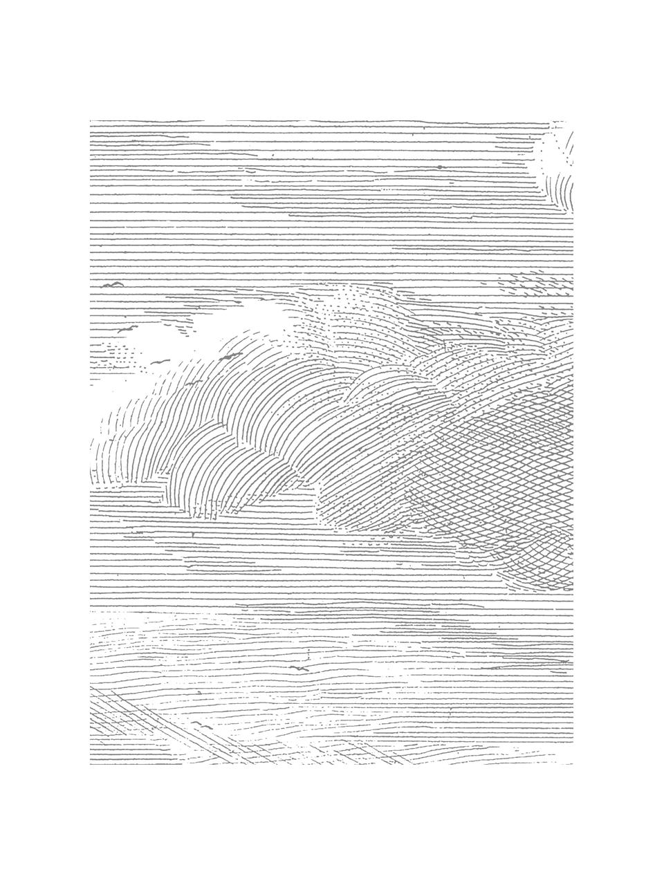 Adesivo murale grigio Clouds, Tessuto non tessuto, Grigio, bianco, Larg. 195 x Alt. 280 cm