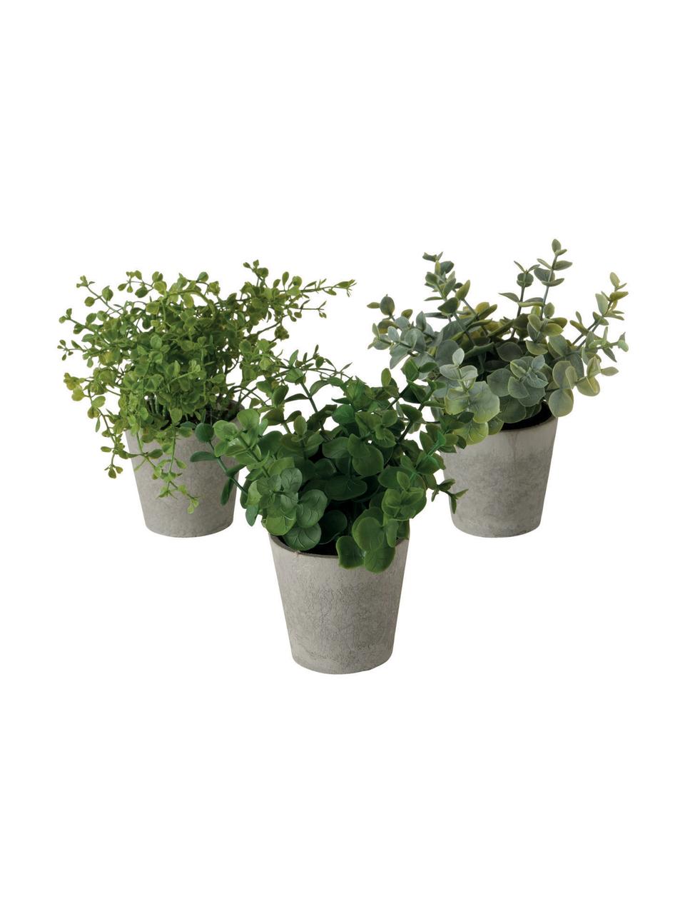 Komplet sztucznych roślin w doniczkach Timothy, 3 elem., Tworzywo sztuczne, Zielony, szary, Ø 16 x W 18 cm