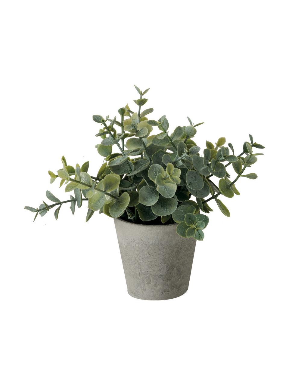 Künstliches Topfpflanzen-Set Timothy, 3-tlg., Kunststoff, Grün, Grau, Ø 16 x H 18 cm