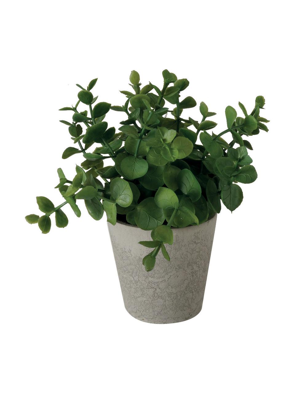 Komplet sztucznych roślin w doniczkach Timothy, 3 elem., Tworzywo sztuczne, Zielony, szary, Ø 16 x W 18 cm