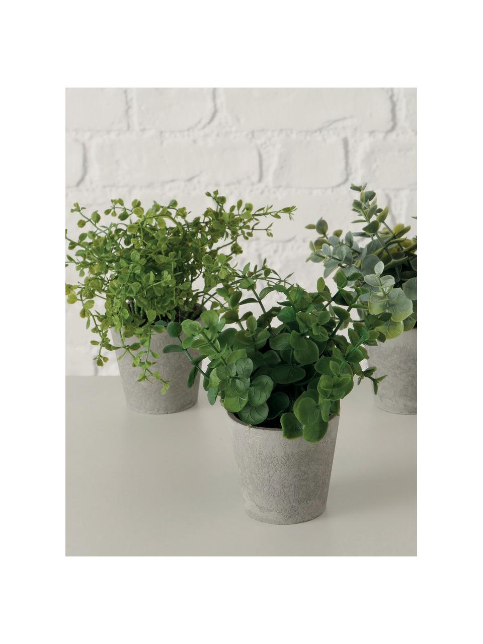 Künstliches Topfpflanzen-Set Timothy, 3-tlg., Kunststoff, Grün, Grau, L 18 cm