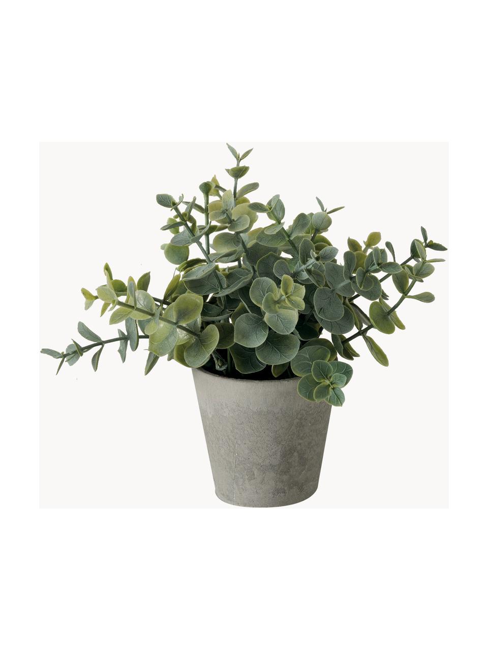 Plante artificielle en pot Timothy, 3 élém., Plastique, Vert, gris, long. 18 cm