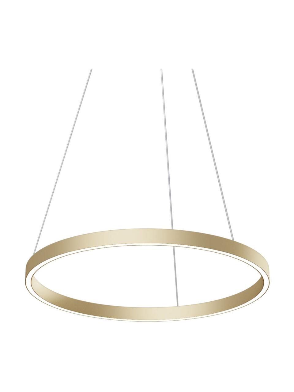 Grande suspension LED Rim, Couleur dorée, Ø 60 x haut. 40 cm