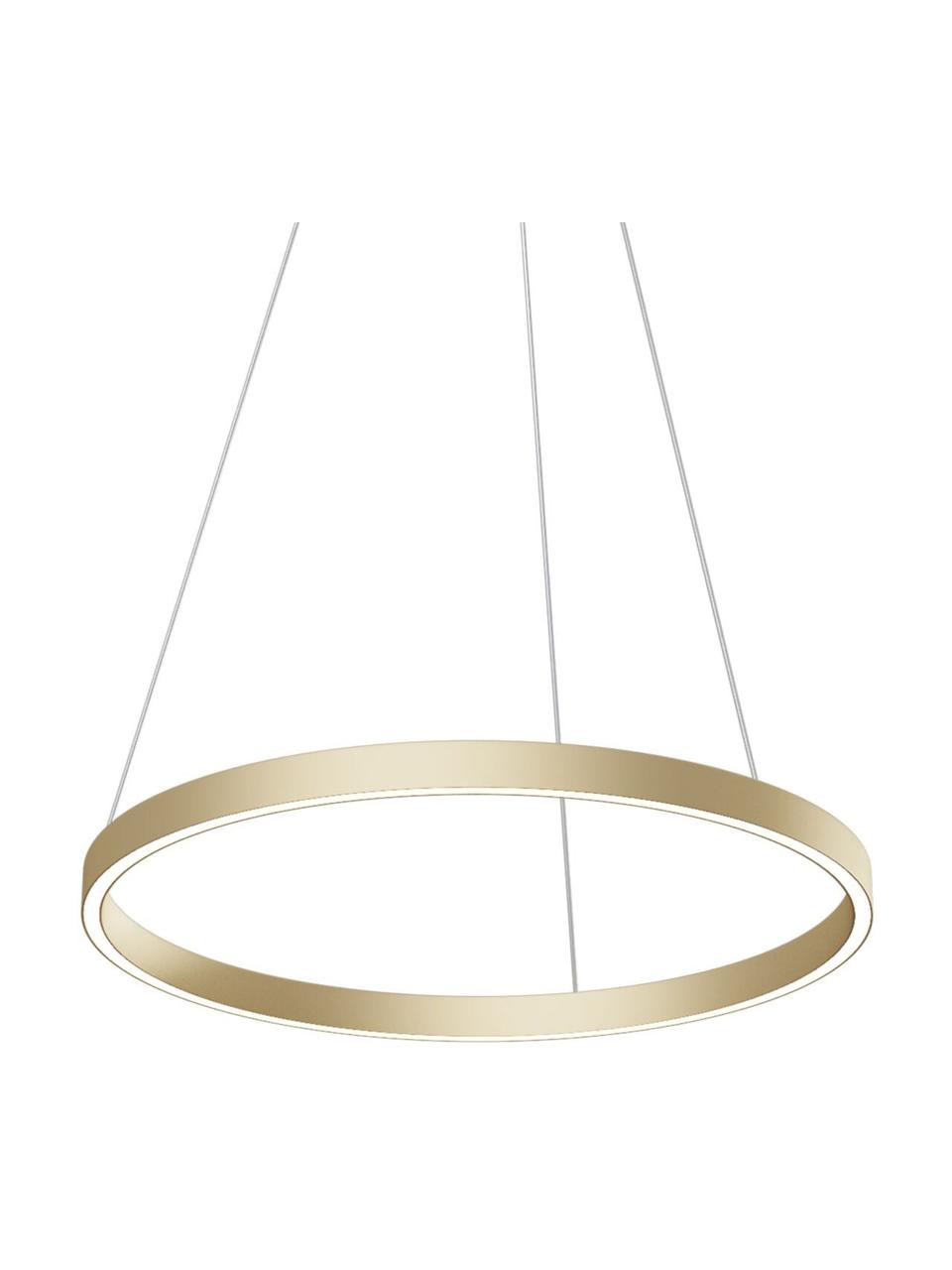 Große LED-Pendelleuchte Rim, Lampenschirm: Aluminium, Baldachin: Aluminium, Goldfarben, Ø 60 x H 40 cm