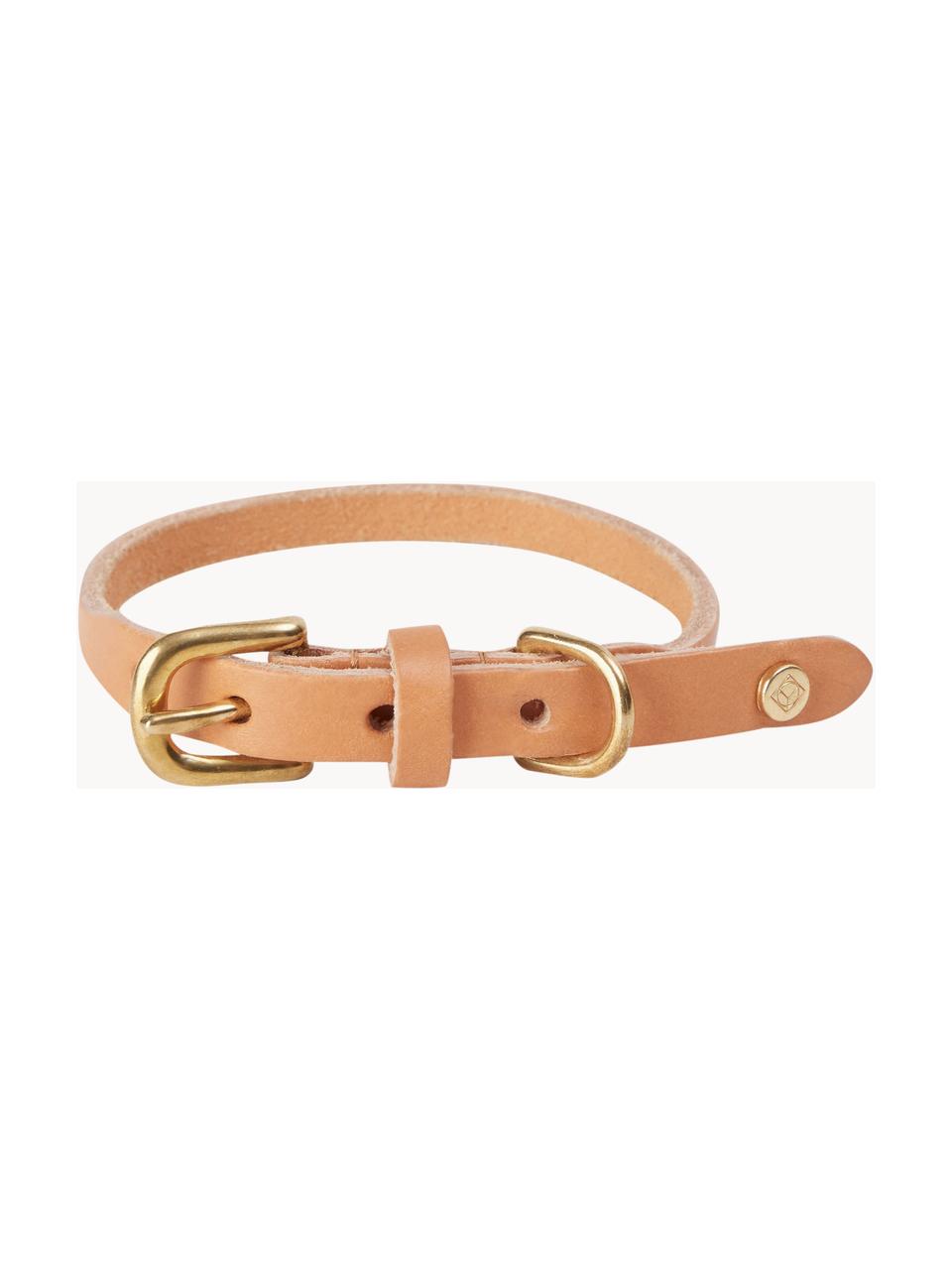 Haustier-Halsband Robin aus Leder, L 35 cm, Verschluss: Messing, Peach, L 35 cm