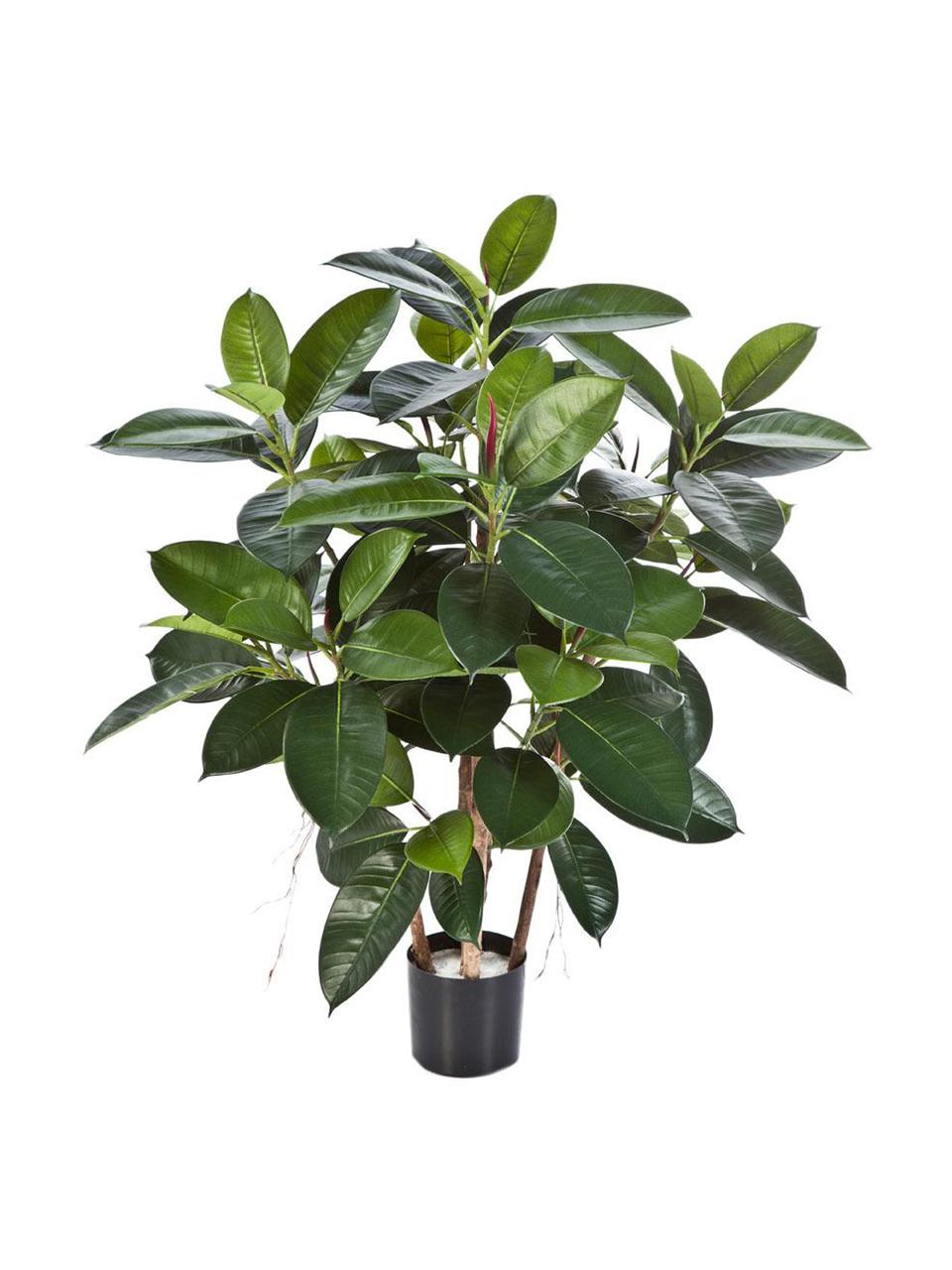 Planta artificial Ficus, Poliéster
Tronco natural, Verde, marrón, Ø 50 x Al 90 cm