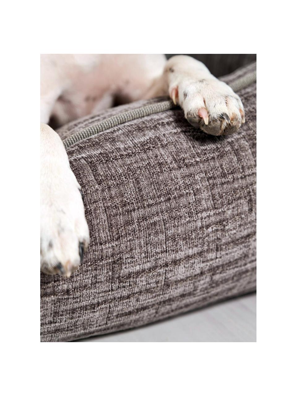 Cama para mascotas de pana Nova, tamaños diferentes, Tapizado: pana (100 % poliéster) Al, Gris oscuro, An 68 x F 55 cm