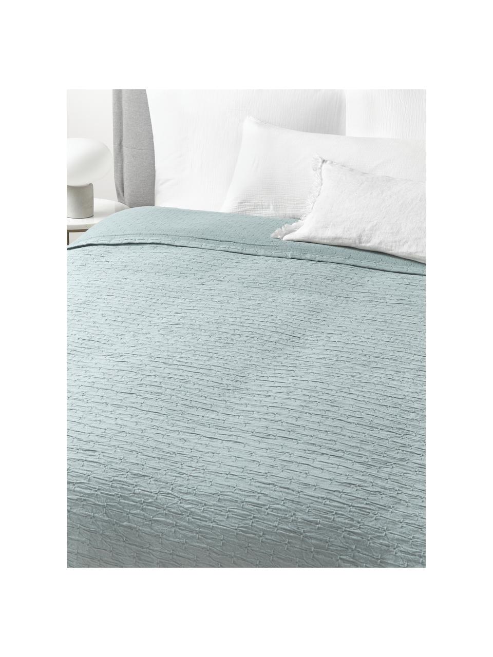 Bedsprei Mallon van katoen, 100% katoen, BCI-gecertificeerd

Het in dit product gebruikte materiaal is getest op schadelijke stoffen en gecertificeerd volgens STANDARD 100 door OEKO-TEX®, 6457CIT, CITEVE., Lichtblauw, B 230 x L 250 cm