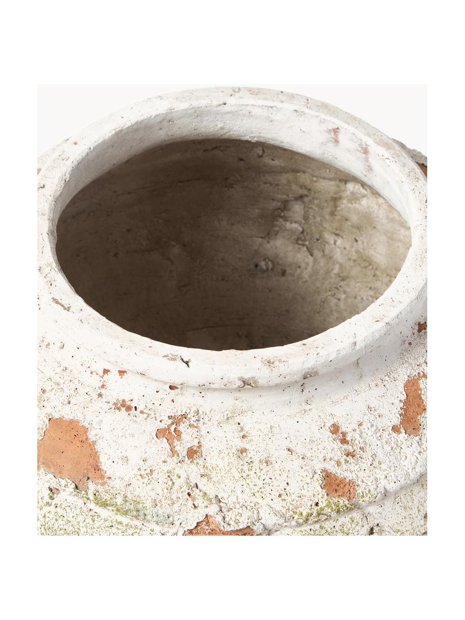 Cache-pot en béton Porto, haut. 29 cm, Béton, Blanc cassé, terracotta, vert, Ø 37 x haut. 29 cm