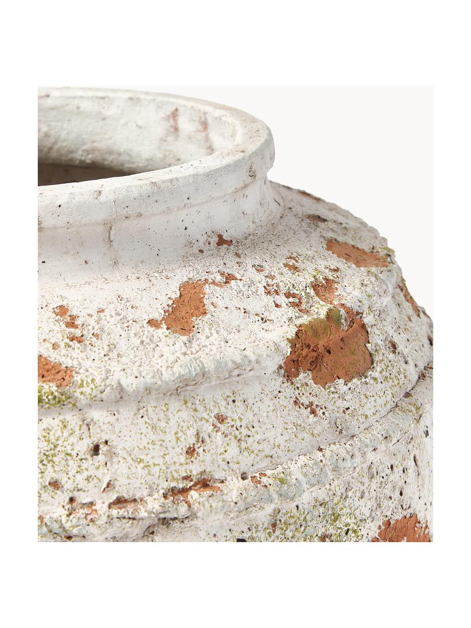 Cache-pot en béton Porto, haut. 29 cm, Béton, Blanc cassé, terracotta, vert, Ø 37 x haut. 29 cm