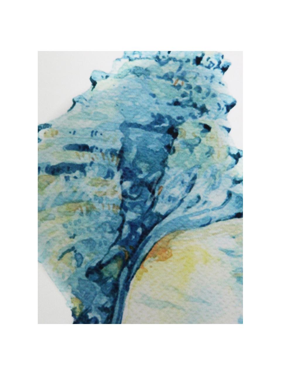 Kissenhülle Shell mit Muschelmotiv, 100% Polyester, Weiß, Blau, Gelb, 45 x 45 cm