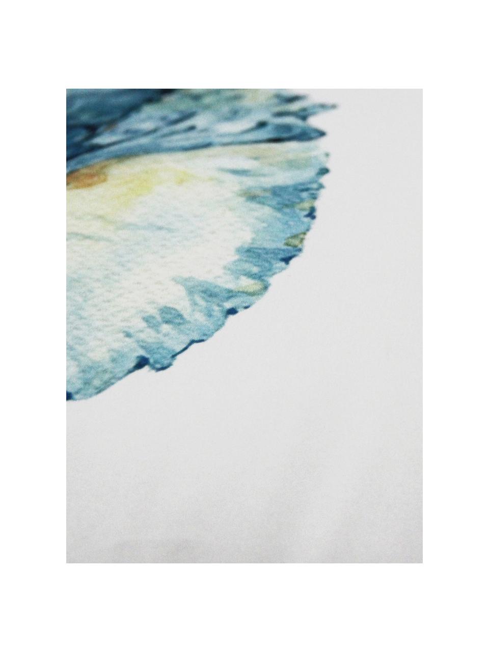 Kissenhülle Shell mit Muschelmotiv, 100% Polyester, Weiss, Blau, Gelb, 45 x 45 cm