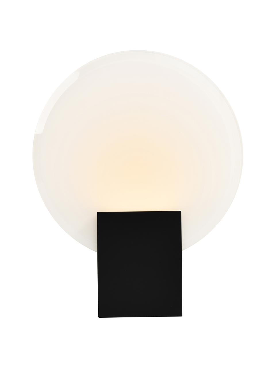 Applique murale LED à intensité variable Hester, Noir, blanc, larg. 20 x haut. 26 cm