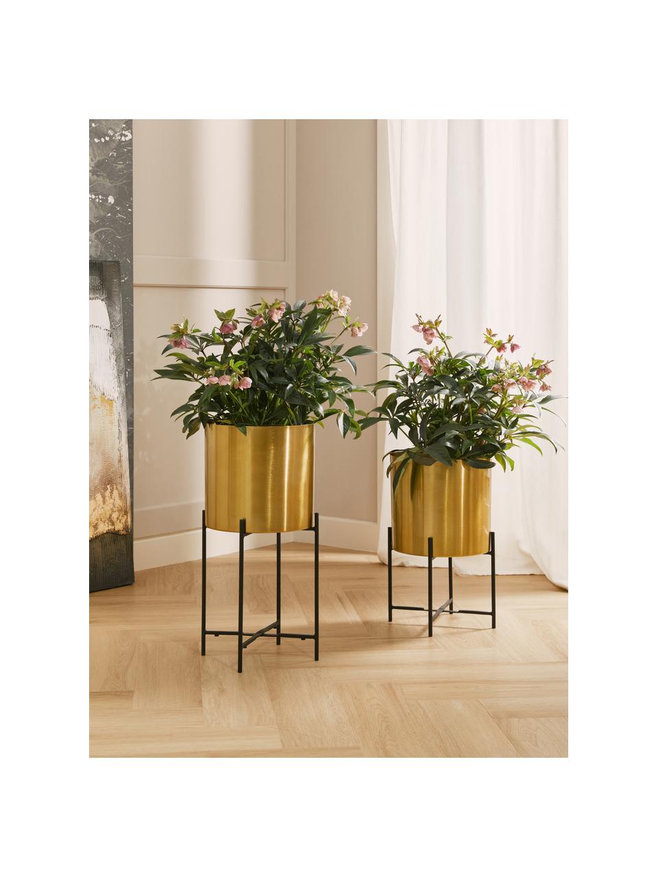 Plantenpottenset Mina van metaal, set van 2, Gepoedercoat metaal, Goudkleurig, zwart, Set met verschillende formaten