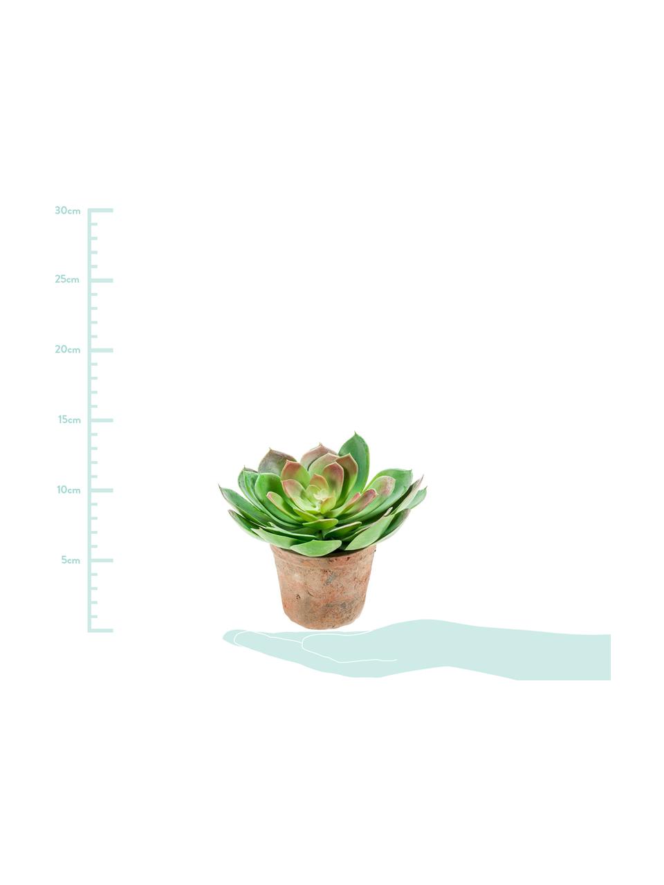 Planta artificial Cactus, Polietileno, Poliuretano, Verde, malva, Ø 15 x Al 20 cm