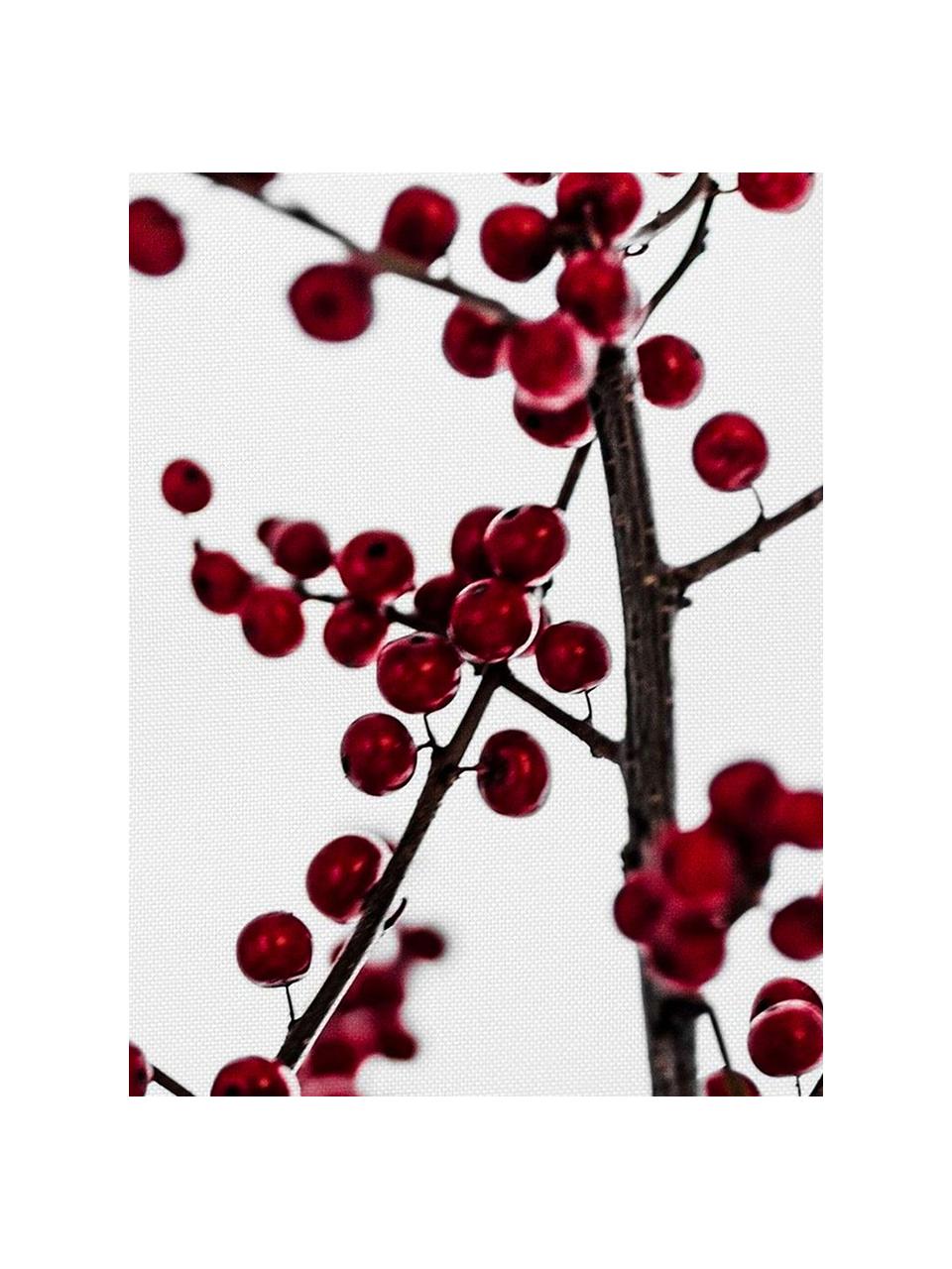 Placemats rood Berries, 4 stuks, Polyester, Wit, rood, zwart, 35 x 45 cm