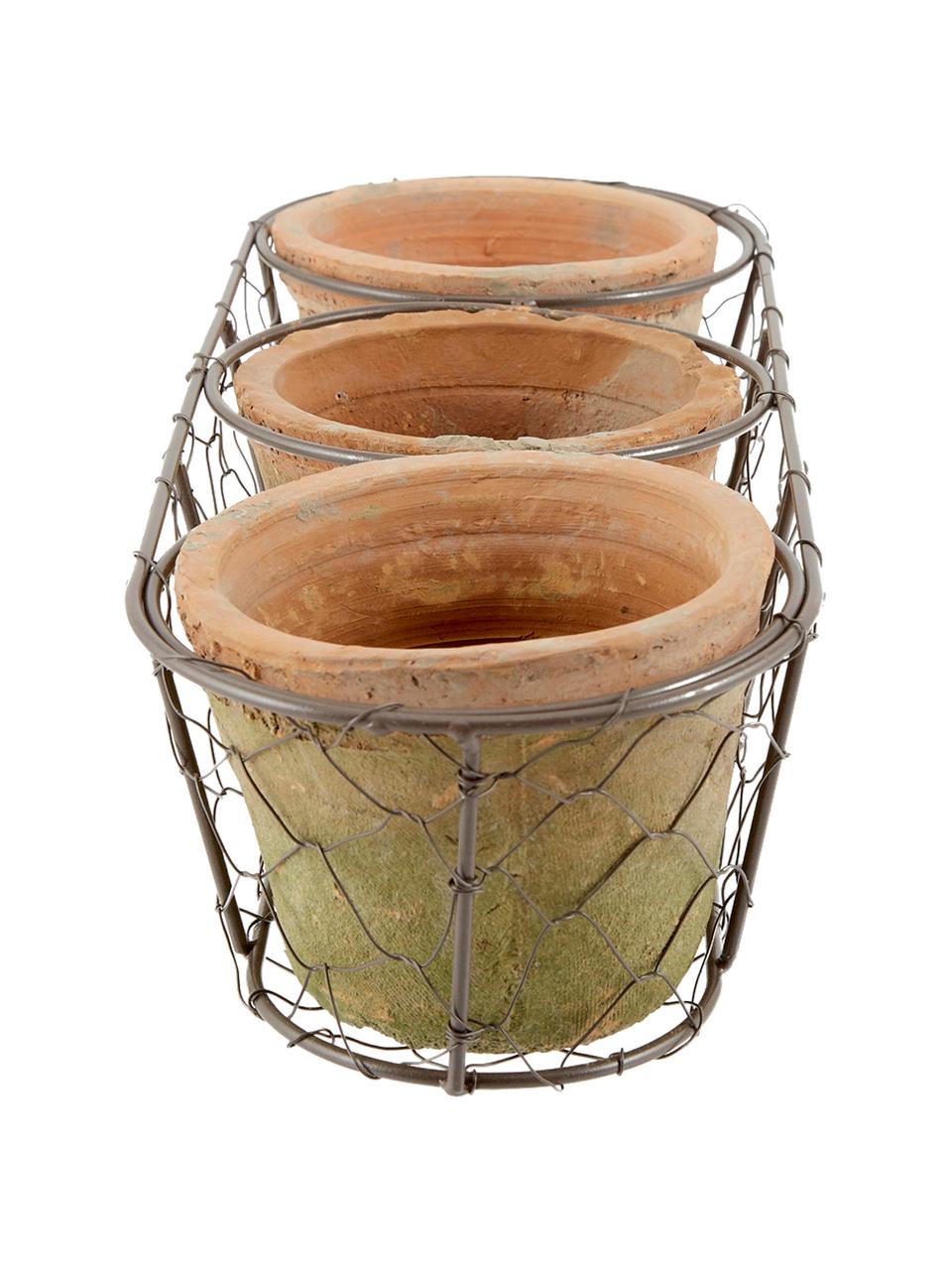 Pflanztopf-Set Daria aus Terrakotta, 4-tlg., Übertopf: Terrakotta, Korb: Metall, Terrakotta, Grün, B 37 x H 9 cm