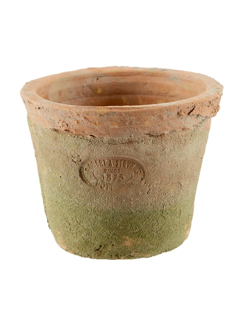 Pots de fleurs terre cuite Daria, 4 élém., Terracotta, vert, larg. 37 x haut. 9 cm