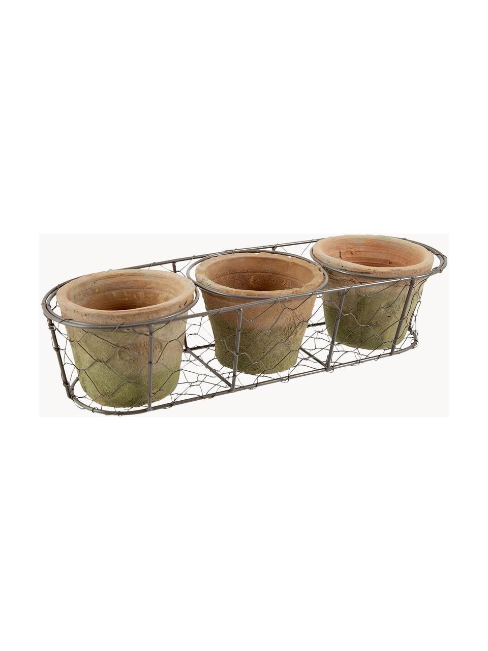 Pflanztopf-Set Daria aus Terrakotta, 4er-Set, Übertopf: Terrakotta, Korb: Metall, Terrakotta, Olivgrün, B 37 x H 9 cm