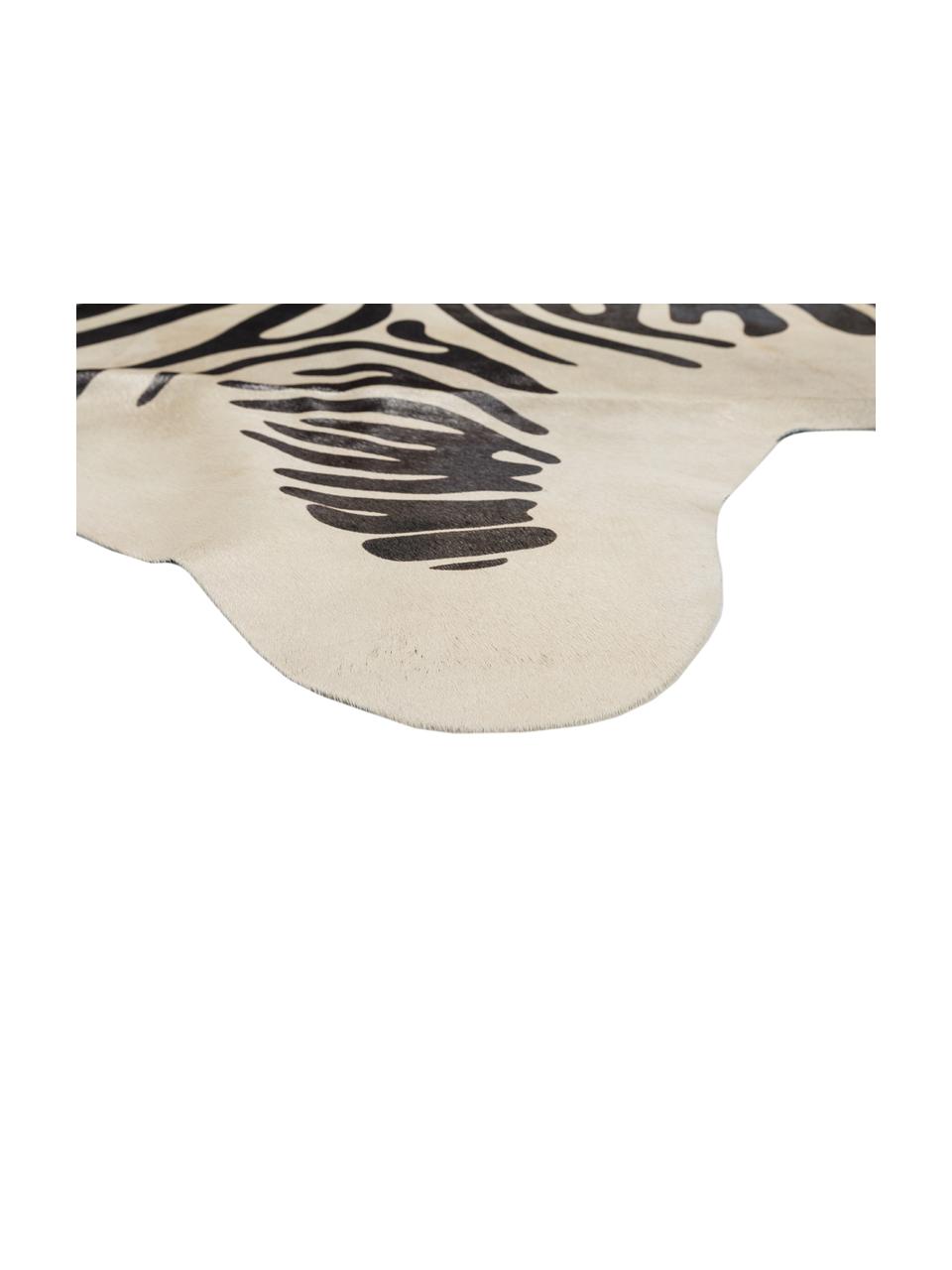 Tappeto in pelle di mucca Zebra, Pelle di mucca, stampata, Bianco, nero, L 220 x P 180 cm