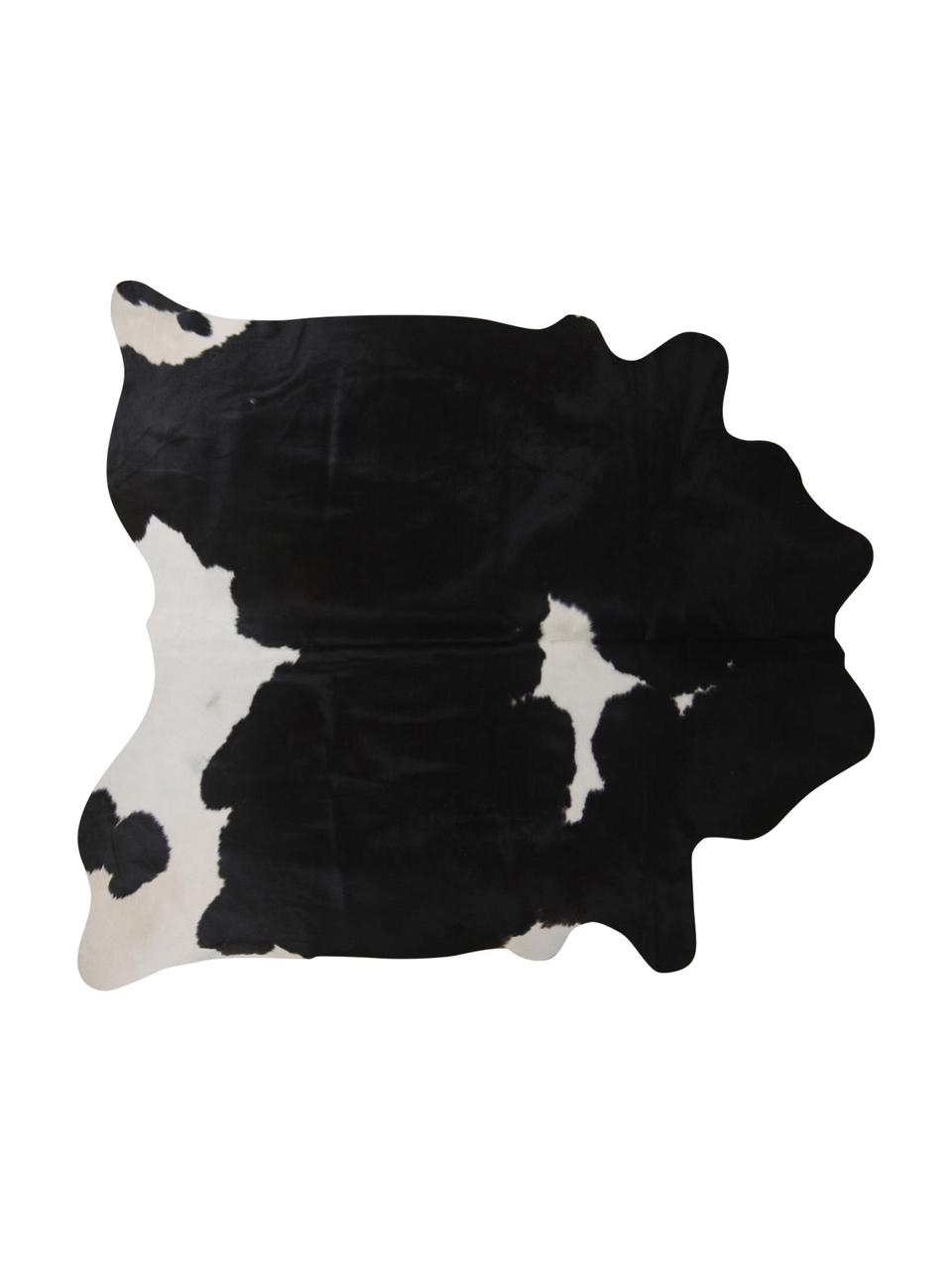 Kuhfell-Teppich Pisces in Schwarz und Weiß, Kuhfell, Schwarz, Weiß, Kuhfell-Unikat 967, 160 x 180 cm