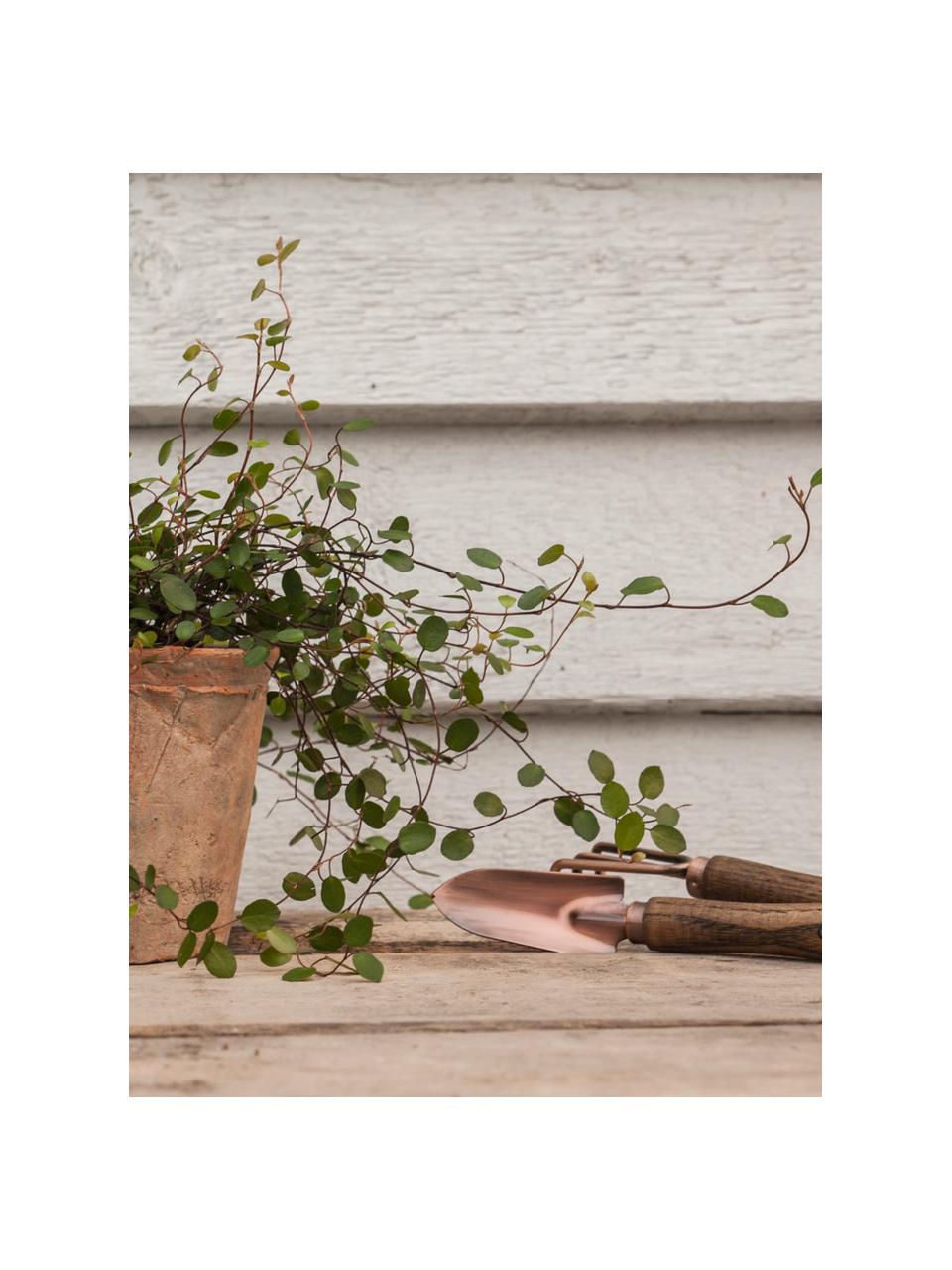 Tuingereedschap Gardenia, 2-delig, Hout, metaal, Houtkleurig, koperkleurig, Verschillende formaten