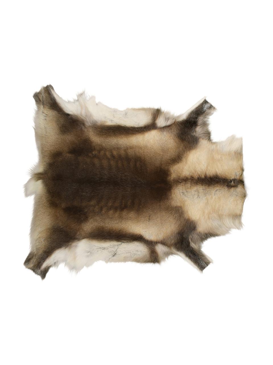 Alfombra de piel de reno Adrastea, Piel de reno, curtida, Tonos marrones, blanco, Piel de reno única 067, 75 x 115 cm