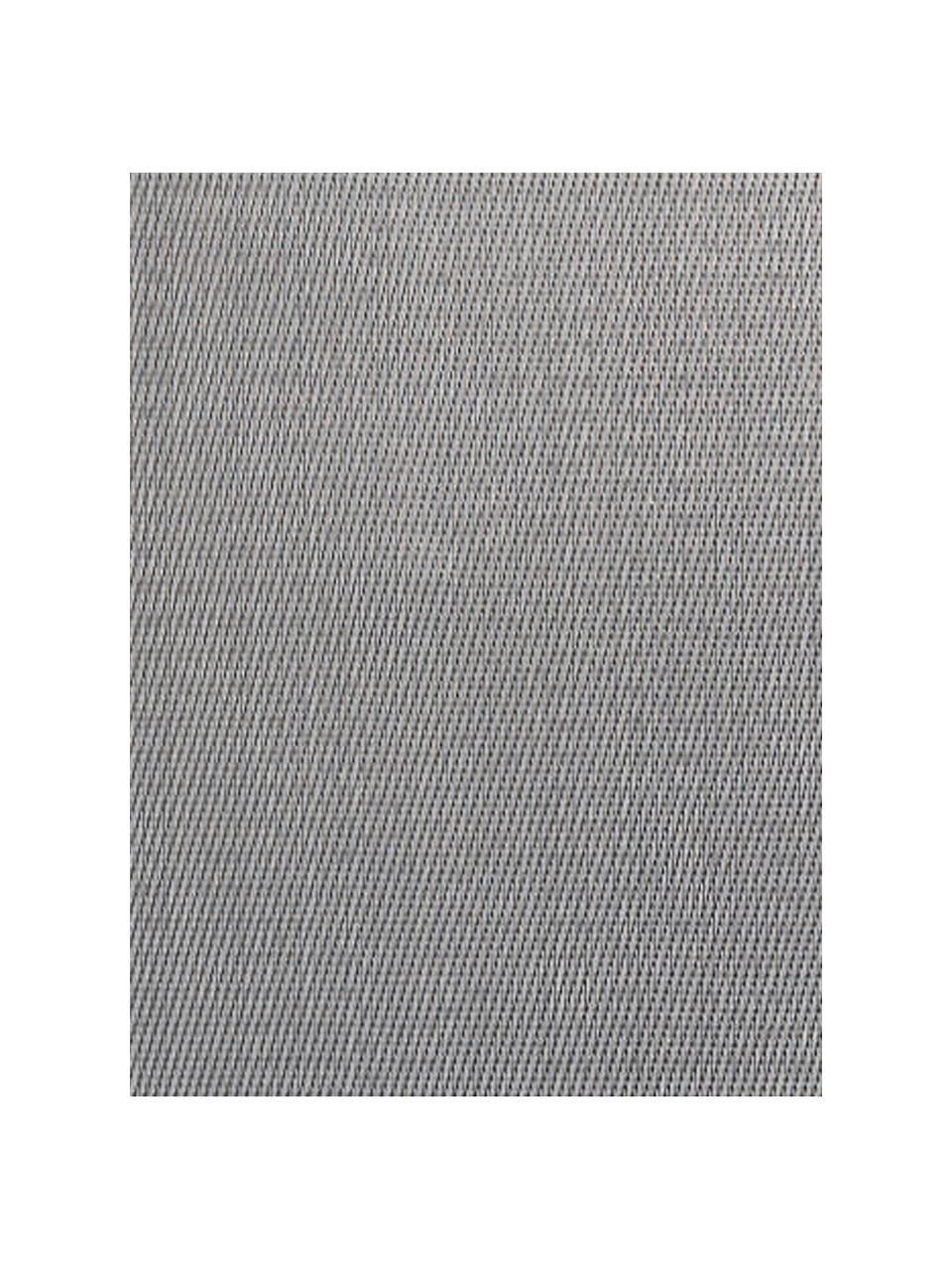 Kunststoffen placemats Trefl, 2 stuks, Kunststof (PVC), Grijstinten, B 33 x L 46 cm