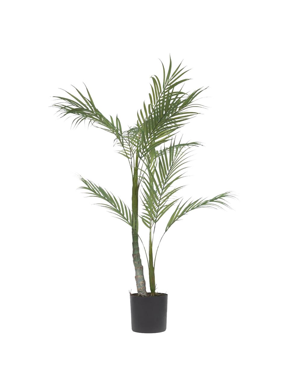 Dekoracyjna palma w doniczce, Tworzywo sztuczne, Zielony, czarny, W 84 cm