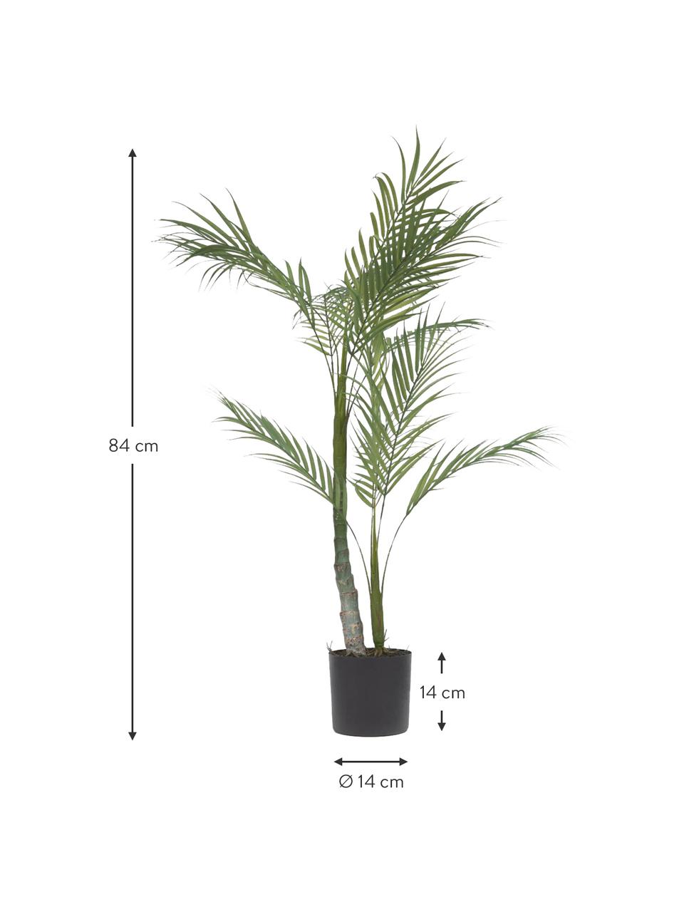 Umelá palma v kvetináči, Umelá hmota, Zelená, čierna, V 84 cm
