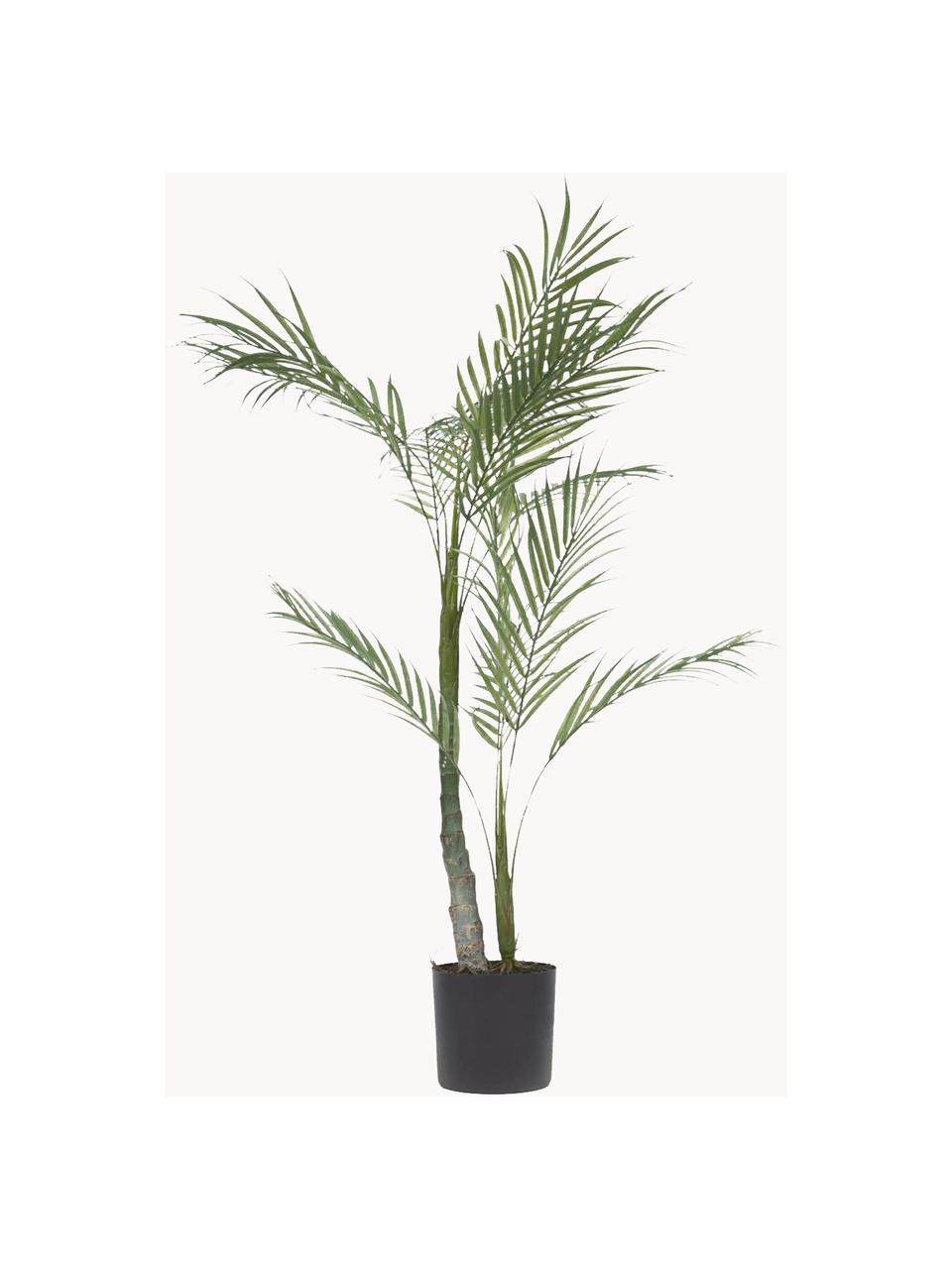 Umělá palma v květináči Palme, Umělá hmota, Zelená, černá, D 84 cm