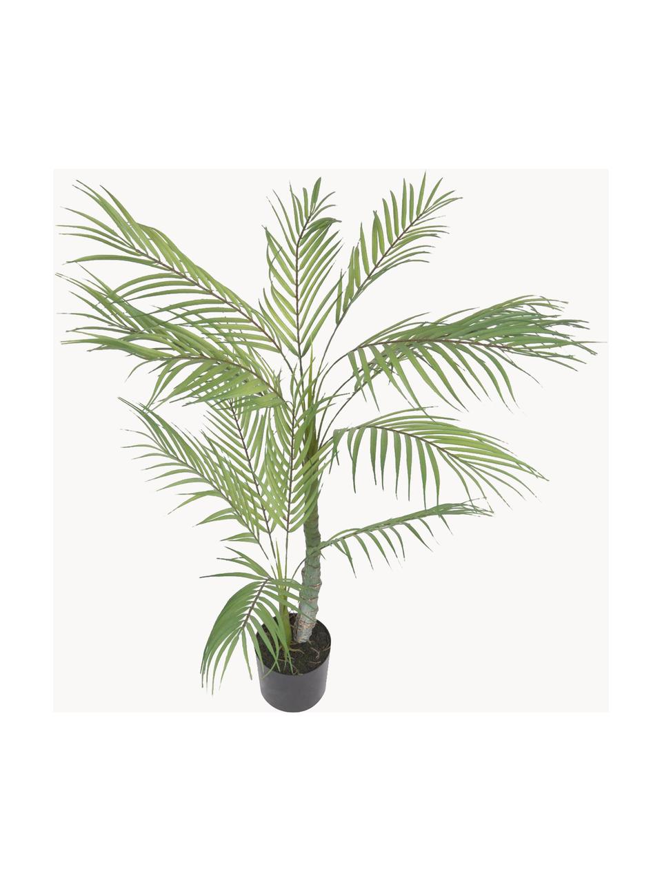 Kunstpflanze Palme im Übertopf, Kunststoff, Grün, Schwarz, L 84 cm