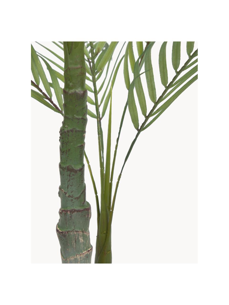 Kunstpalm Palme in plantenbak, Kunststof, Groen, zwart, L 84 cm