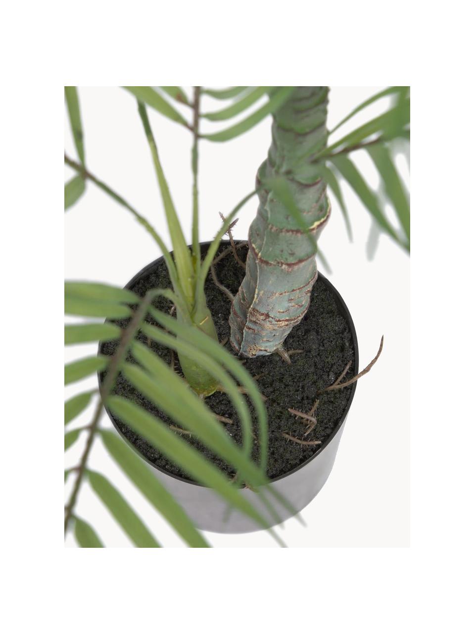 Kunstpalm Palme in plantenbak, Kunststof, Groen, zwart, L 84 cm