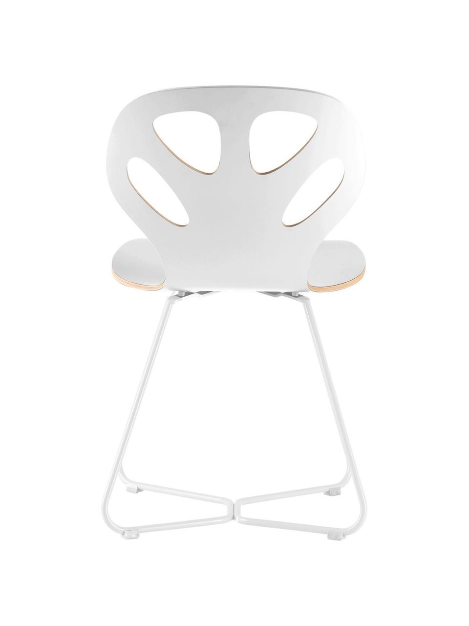 Krzesło z drewna Maple, Stelaż: stal malowana proszkowo, Biały, S 51 x G 49 cm