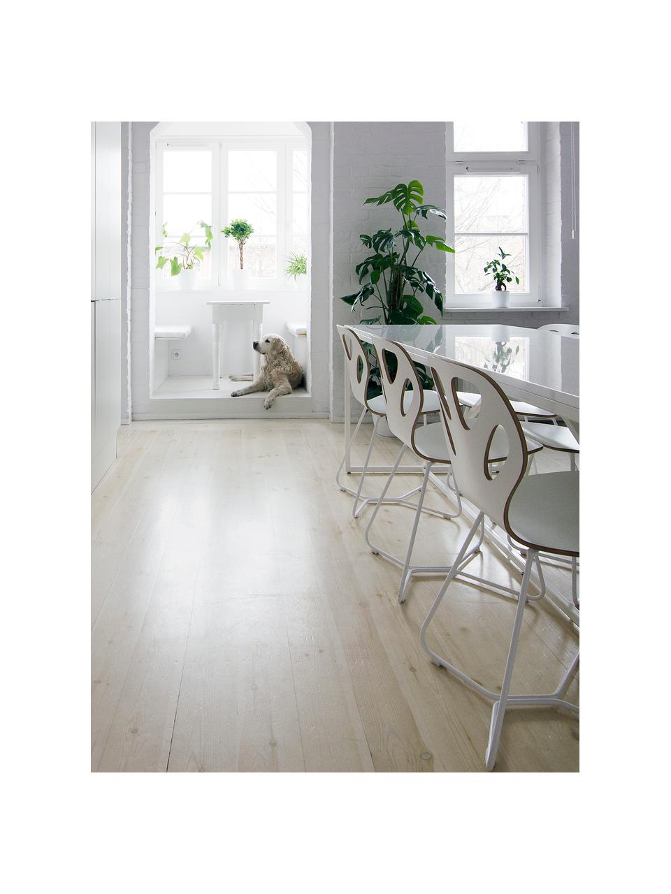 Dřevěná židle Maple, Bílá