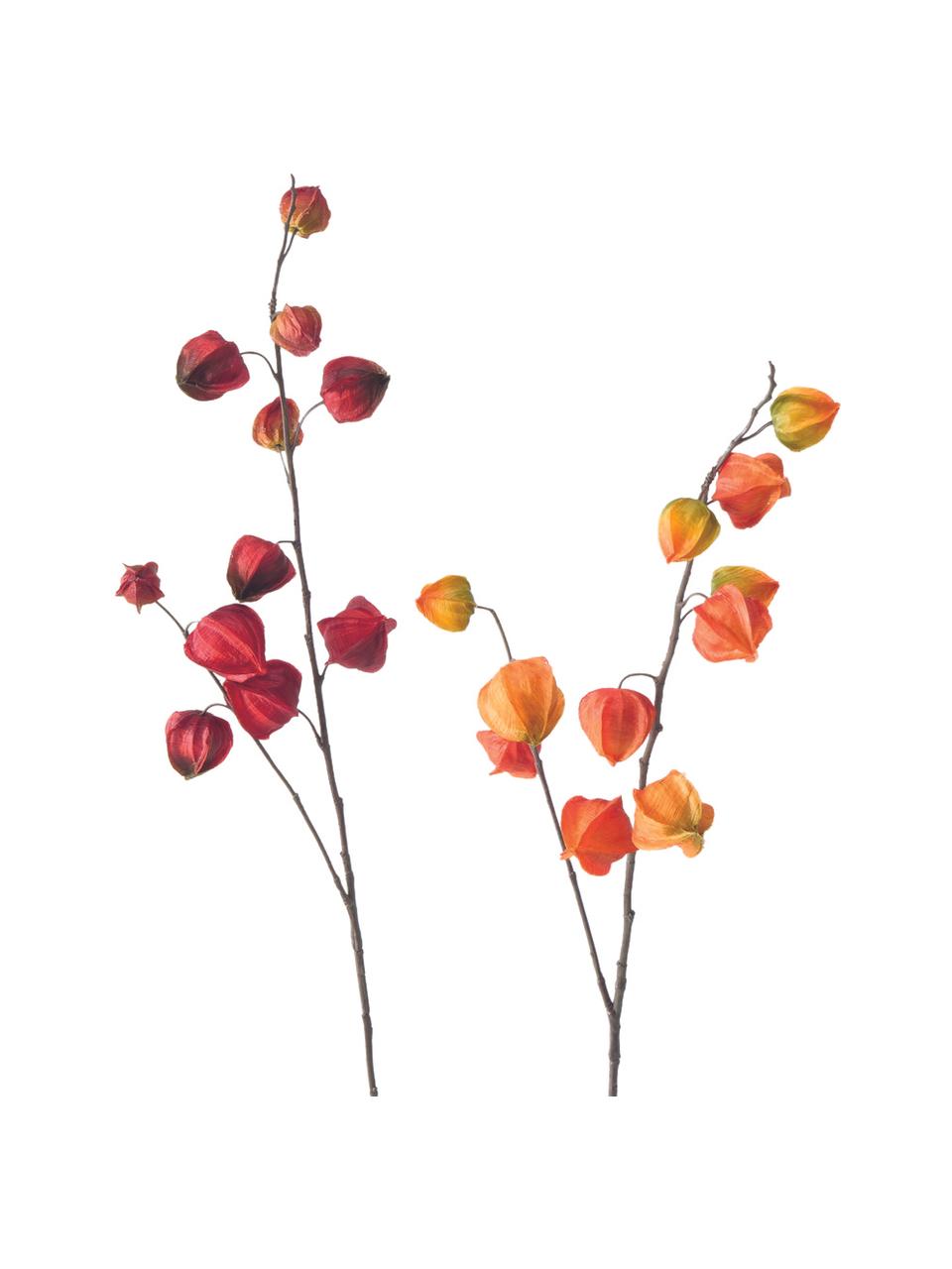 Kunstbloemenset Physalis, 2-delig, Kunststof, Oranje, lila, L 90 cm