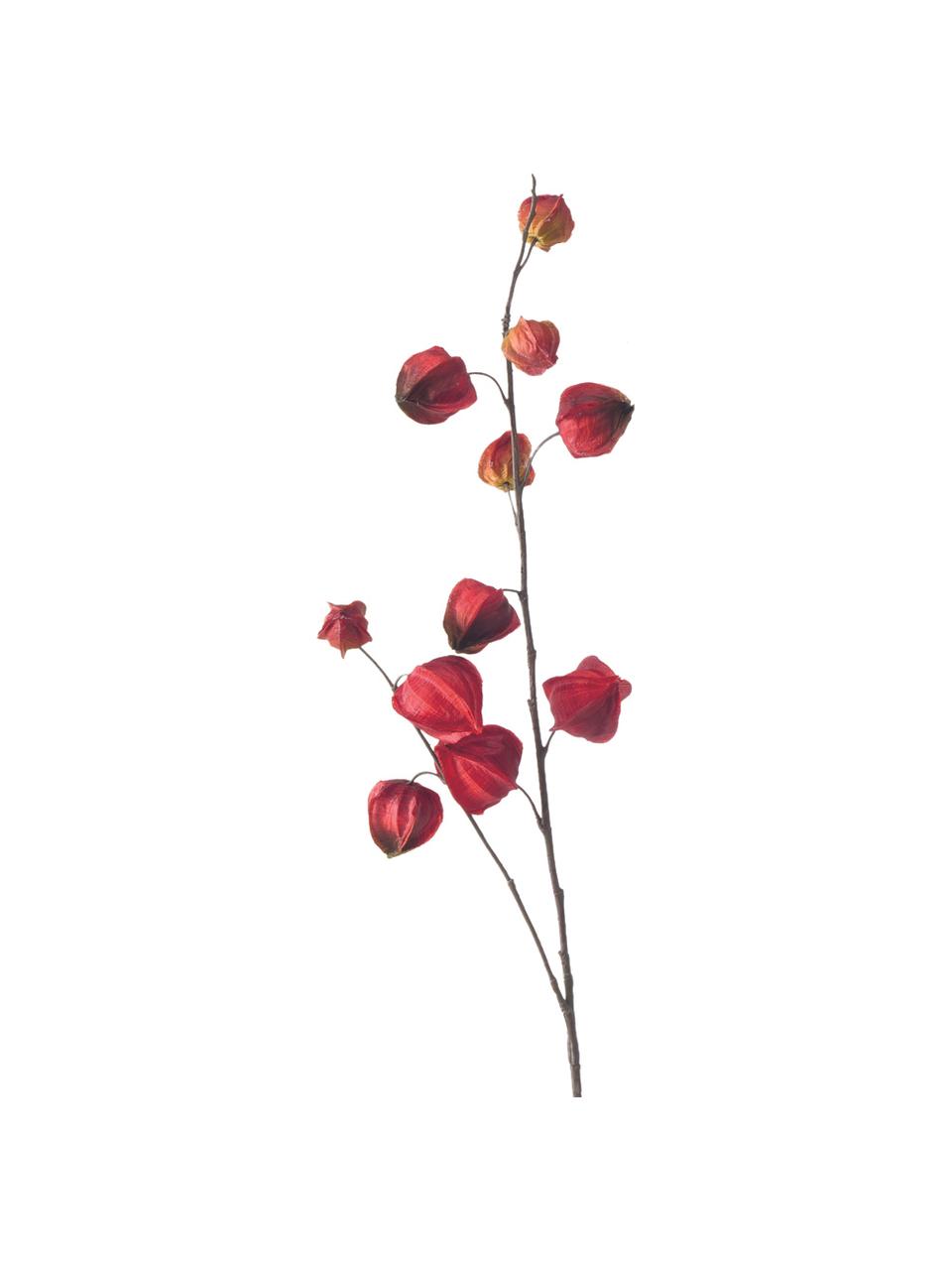 Flores artificiales Physalis, 2 uds. | Westwing