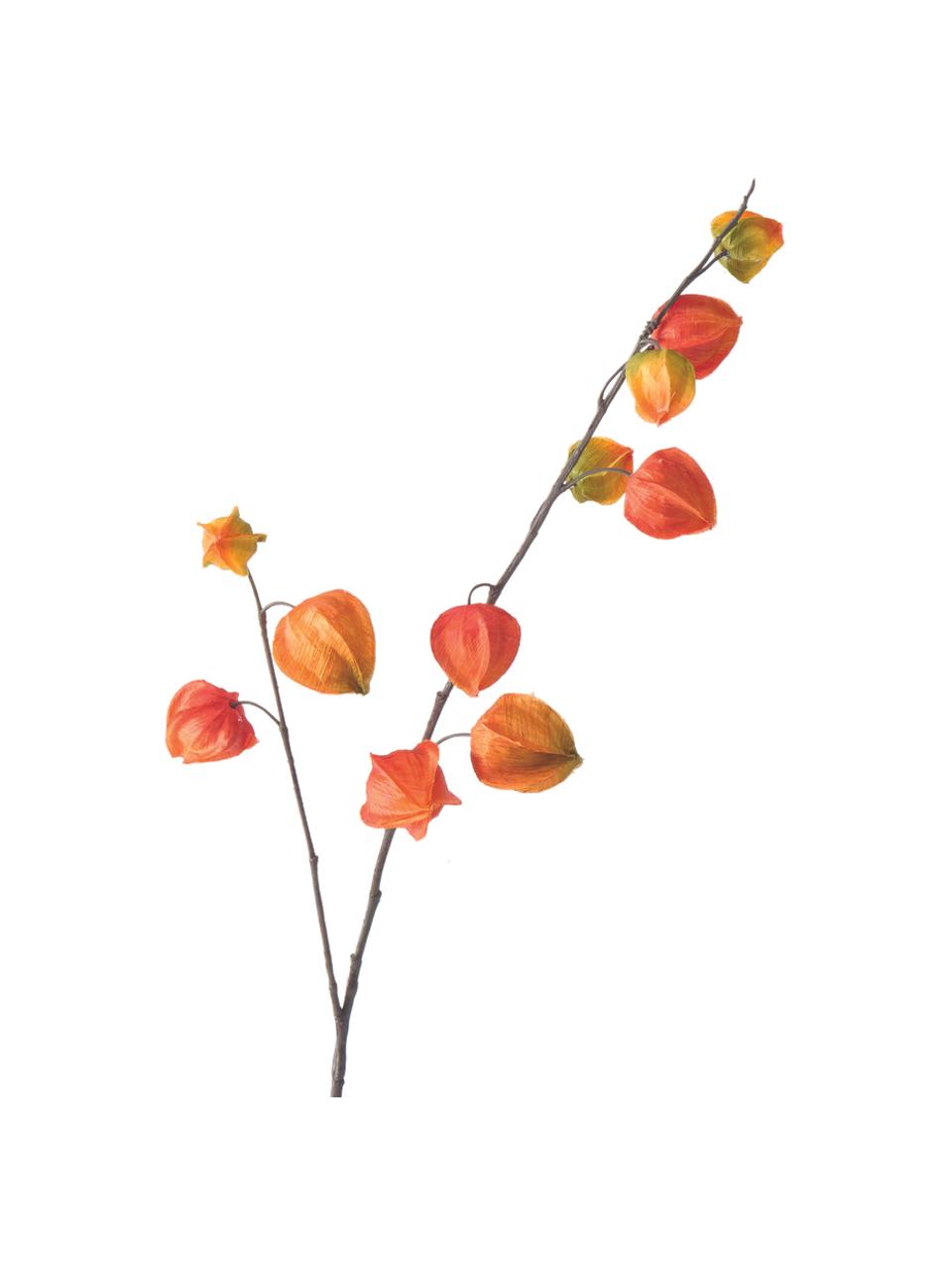 Fleurs artificielles Physalis, 2 élém., Plastique, Orange, lilas, haut. 90 cm