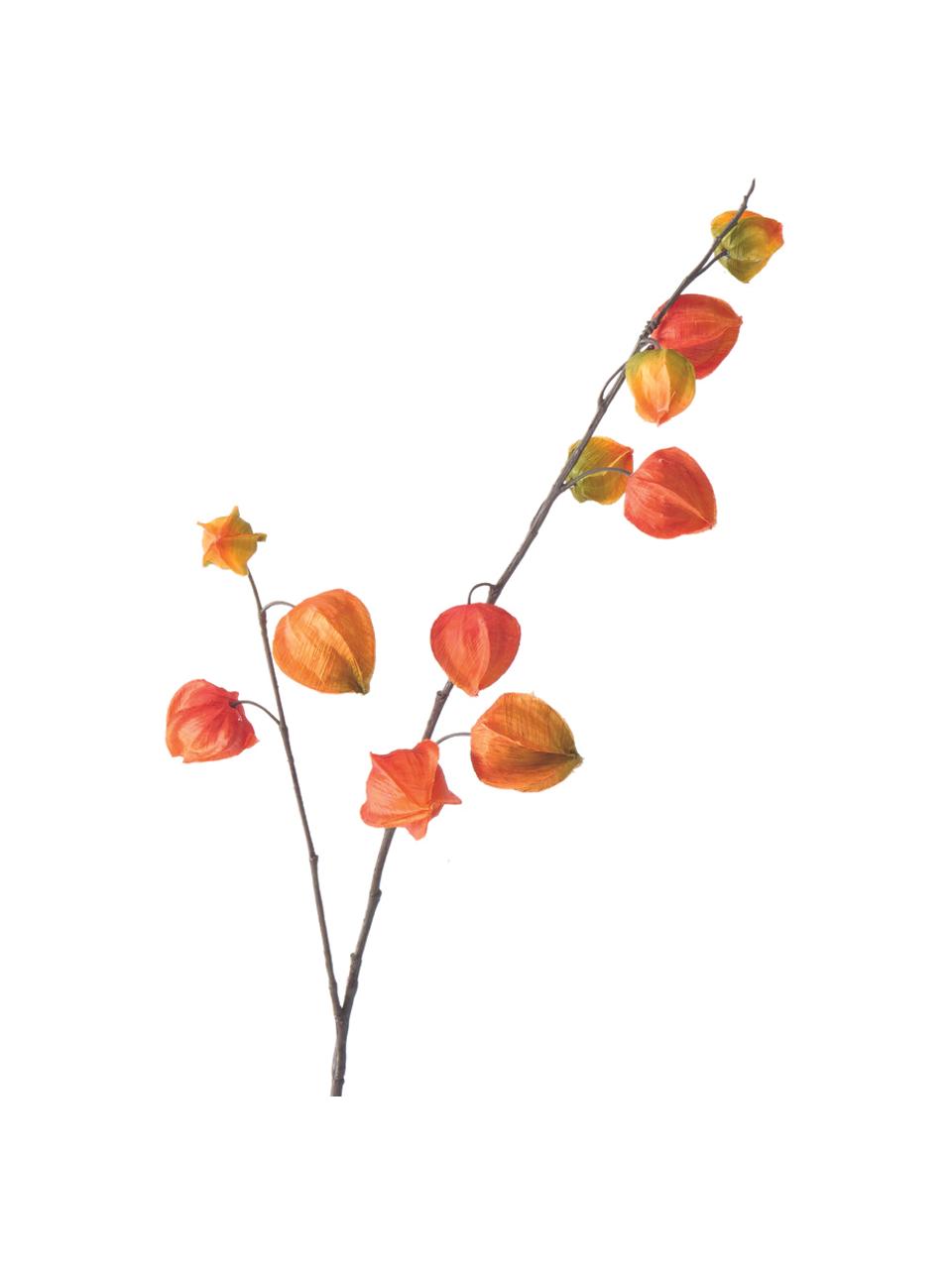 Flores artificiales Physalis, 2 uds., Plástico, Naranja, lila, Al 90 cm
