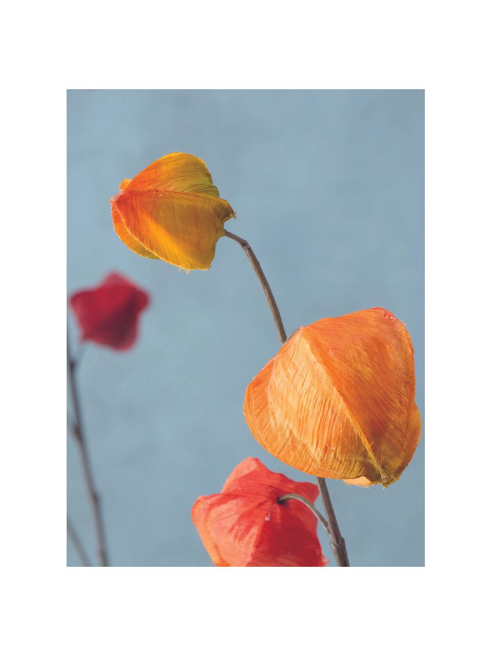 Fleurs artificielles Physalis, 2 élém., Plastique, Orange, lilas, haut. 90 cm