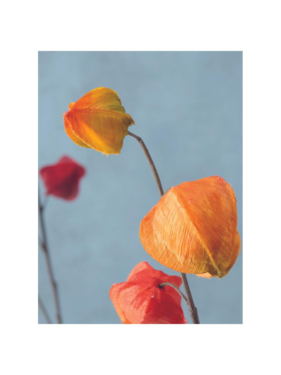 Set 2 fiori artificiali Physalis, Plastica, Arancione, lilla, Alt. 90 cm