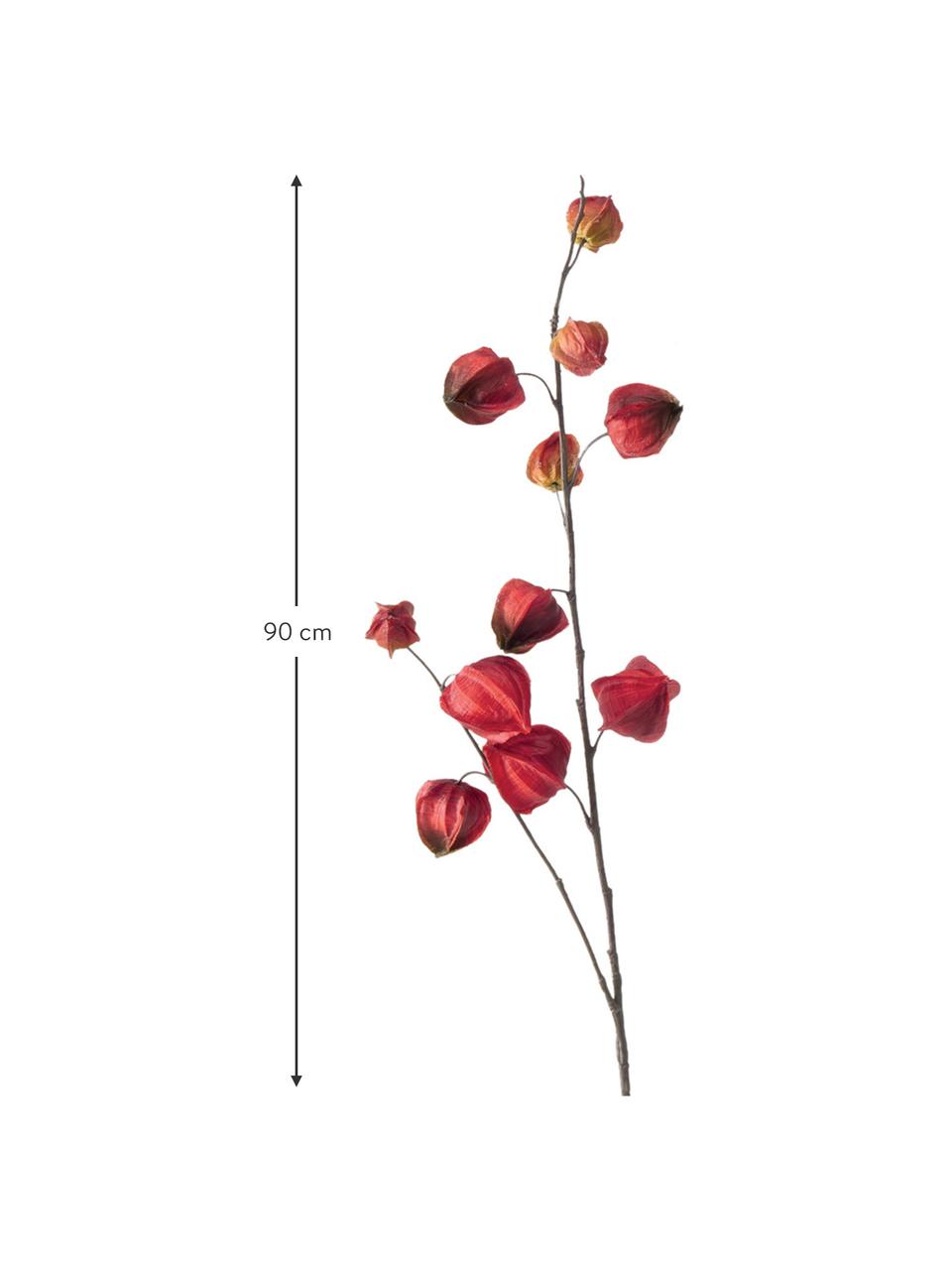 Set 2 fiori artificiali Physalis, Plastica, Arancione, lilla, Alt. 90 cm