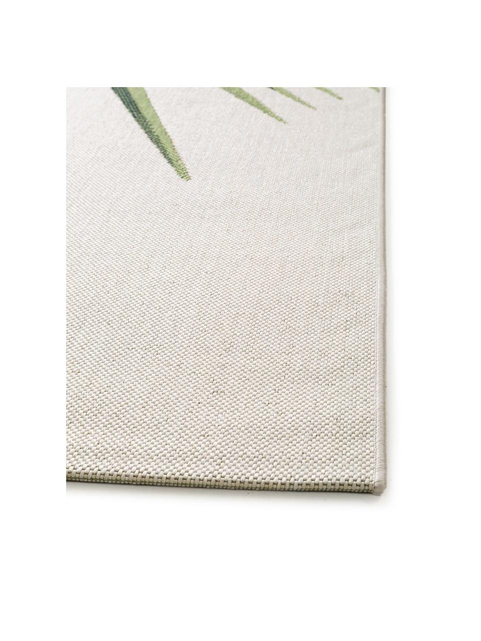 Tapis d'extérieur Capri Palm, 100 % polypropylène, Vert, beige, larg. 80 x long. 150 cm (taille XS)