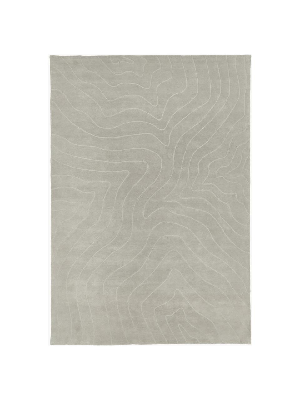 Ręcznie tuftowany dywan z wełny Aaron, Greige, S 300 x D 400 cm (Rozmiar XL)