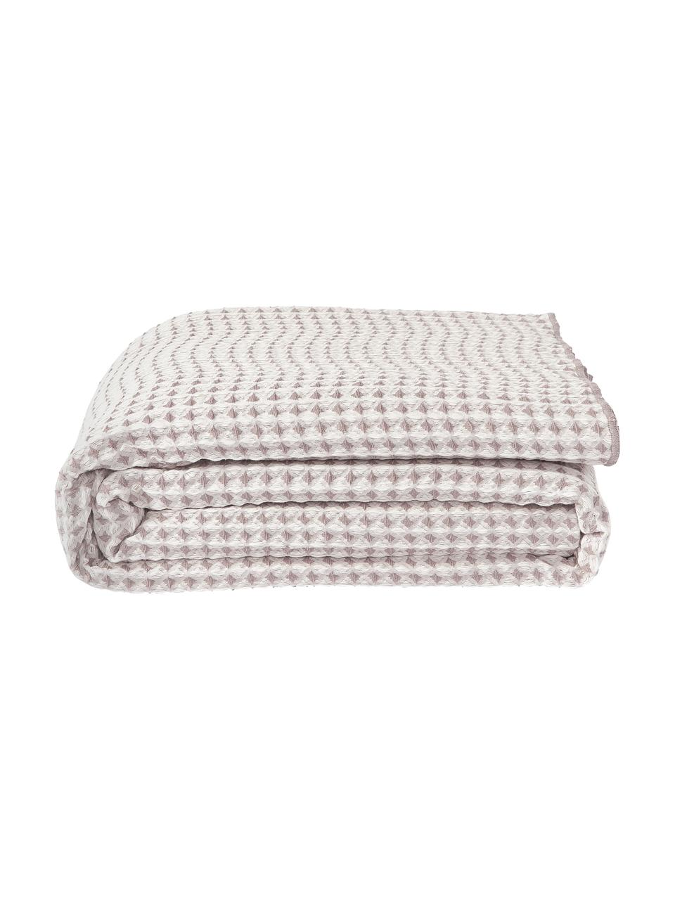 Wafelpiqué bedsprei Allie, 100% katoen

Het in dit product gebruikte materiaal is getest op schadelijke stoffen en gecertificeerd volgens STANDARD 100 door OEKO-TEX®, 6457CIT, CITEVE., Beige, taupe, B 230 x L 250 cm